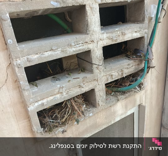 פתחי אוורור עם קיני יונים וחוטים ירוקים